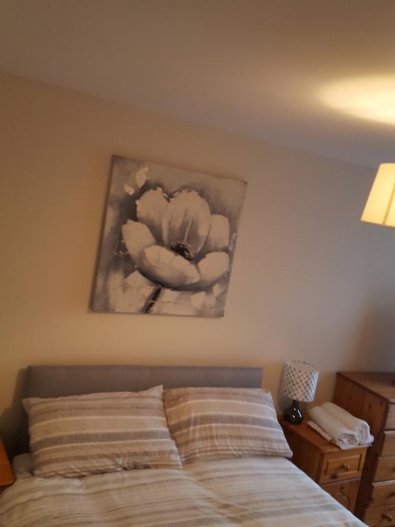 Castleton Gardens Apartments Belfast Eksteriør bilde